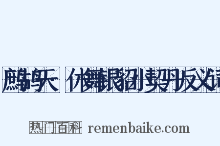 鹧鸪天·休舞银貂小契丹反义词是什么意思的图片